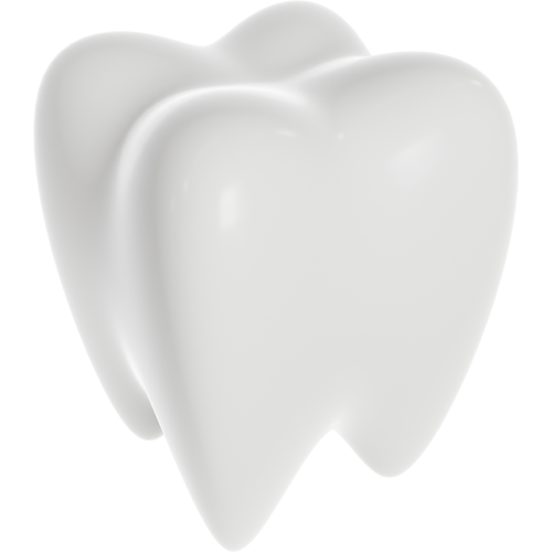 현대해상 치아보험